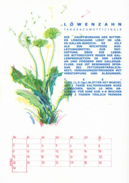 Meike Schlemmer Illustration