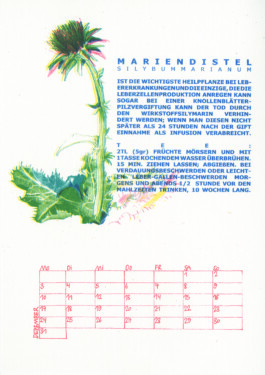 Meike Schlemmer Illustration