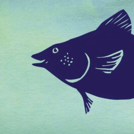 Meike Schlemmer Illustration