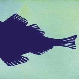 Meike Schlemmer Illustration