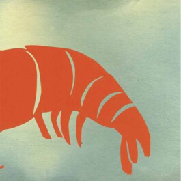 Meike Schlemmer Illustration