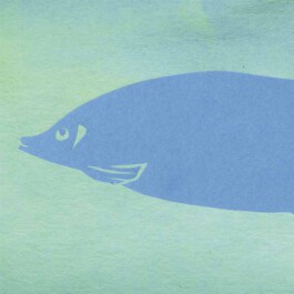 Meike Schlemmer Illustration