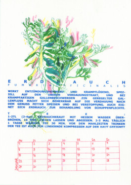 Meike Schlemmer Illustration