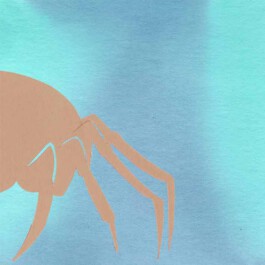 Meike Schlemmer Illustration