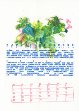 Meike Schlemmer Illustration