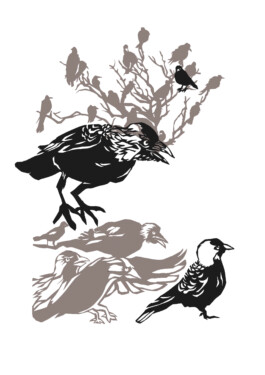 Meike Schlemmer Illustration