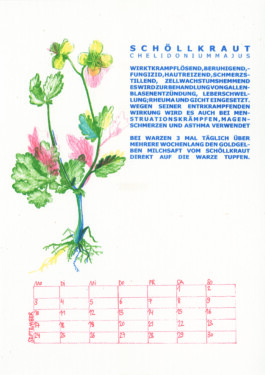 Meike Schlemmer Illustration