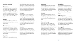 Meike Schlemmer Illustration