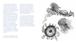 Meike Schlemmer Illustration