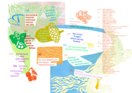 Meike Schlemmer Illustration