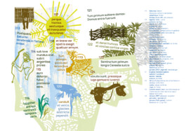 Meike Schlemmer Illustration