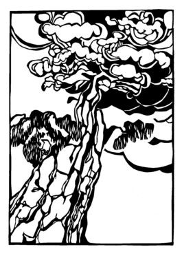 Meike Schlemmer Illustration